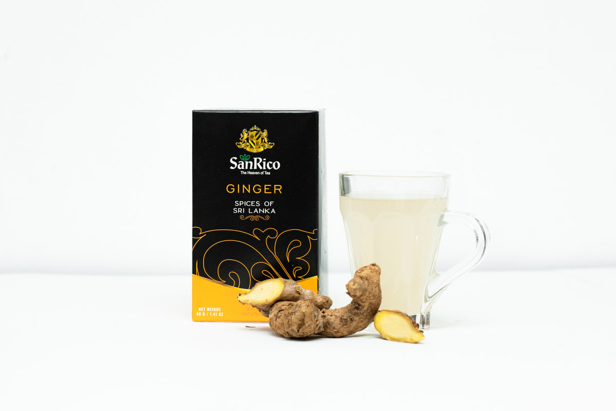 Infusion Gingembre